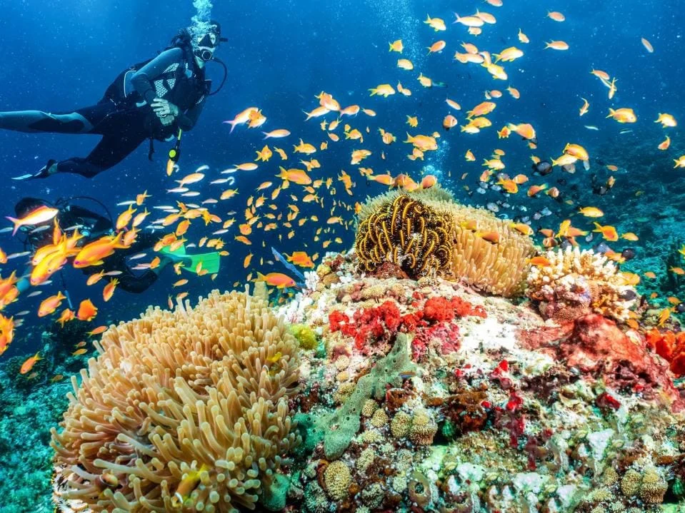 dive-and-snorkeling-adventure-in-Menjangan-island-2