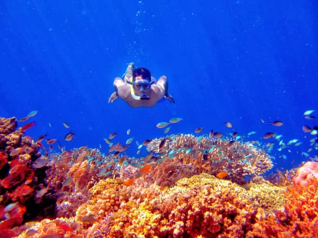 dive-and-snorkeling-adventure-in-Menjangan-island-3